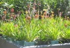 Beedelupplant-nursery-17.jpg; ?>
