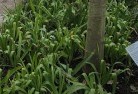 Beedelupplant-nursery-23.jpg; ?>